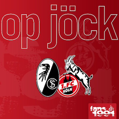 Fanguide für Auswärtsspiele